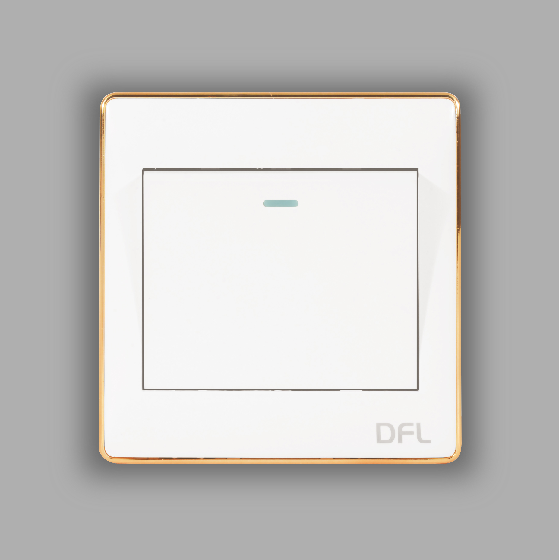 DFL Elite Switch-Socket-14